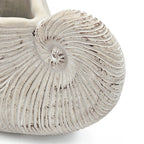 Nautilus Shell Decorative Planter