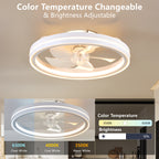 RGB Ceiling Fan with Lights