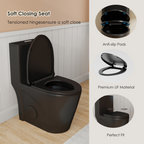 Tornado Flush One-Piece Toilet