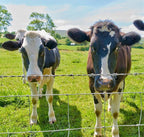 Farm Fence 3ft x 164ft Heavy Zinc Coated Cattle Fence