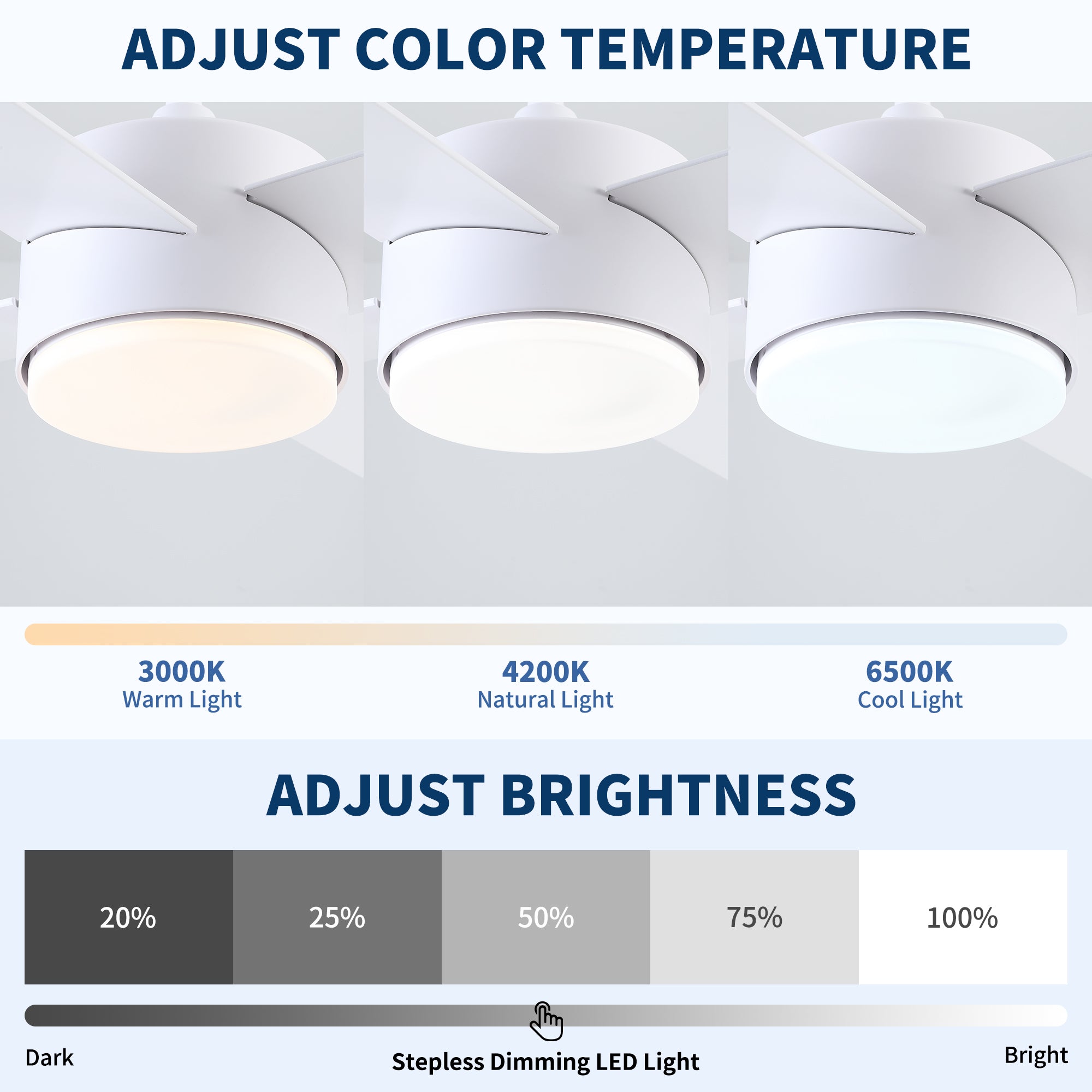 44" Ceiling Fan with Lights & Remote - Matte Finish