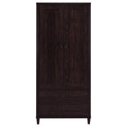 Nestor Tobacco 2-Drawer Tall Accent Cabinet with 2 Doors