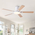 52 Inch Modern Ceiling Fan