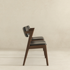 Edwin Mid Century Modern Kitchen Dining Chair (Set of 2)