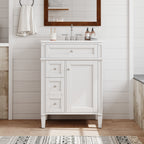 24" Bathroom Vanity with Top Sink