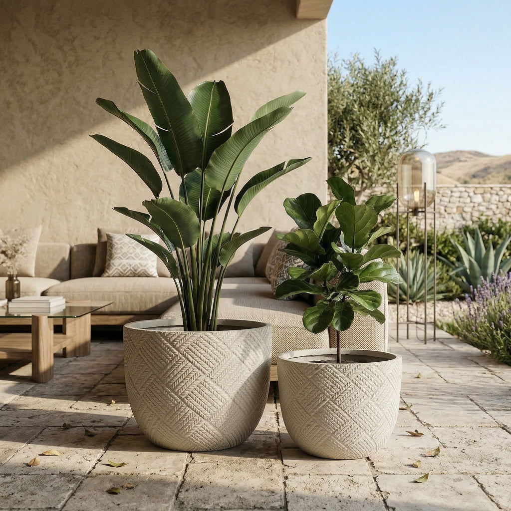 Round Concrete Planter Set of 2