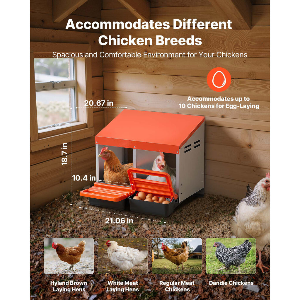 Chicken Nesting Boxes with 2 Compartments