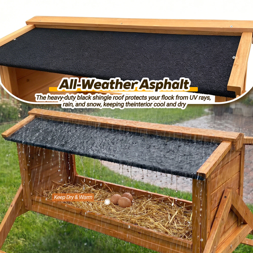 Chicken Nesting Box with Asphalt Roofing