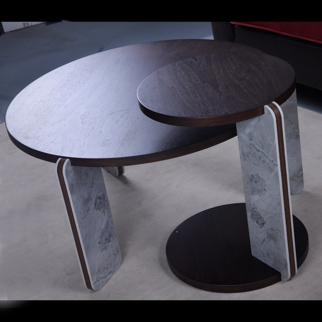Modern Coffee Table with End Table Set