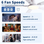 52 Inch Modern Ceiling Fan