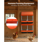 Chicken Nesting Boxes with 2 Compartments