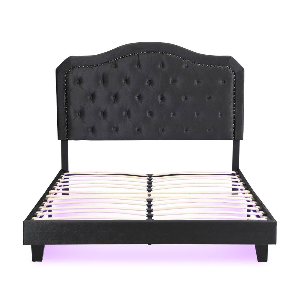 Upholstered Bed Button Tufted with Curve Design