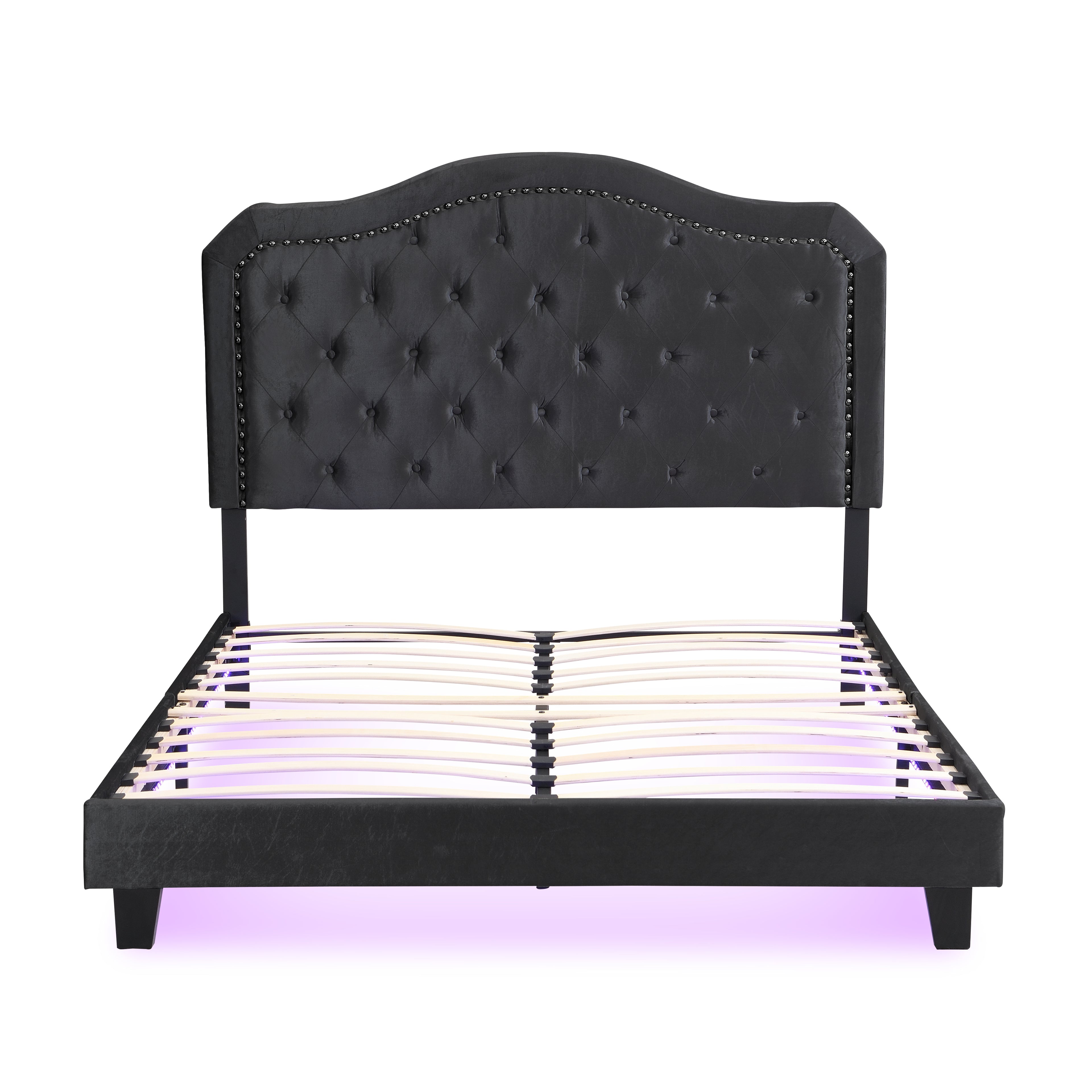 Upholstered Bed Button Tufted with Curve Design