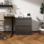 2 Drawer Lateral File Cabinet with Lock - Black