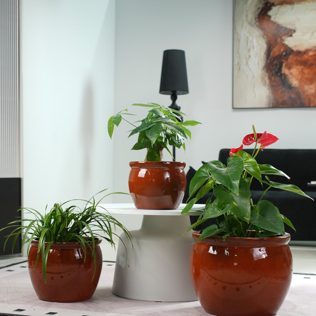 Handmade Rust-Red Ceramic Plant Pots Set of 3
