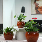 Handmade Rust-Red Ceramic Plant Pots Set of 3