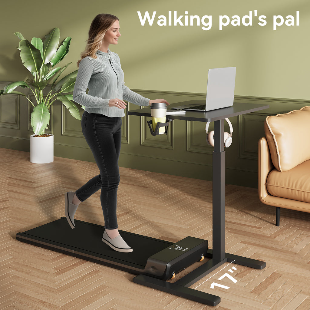Electric Standing Desk