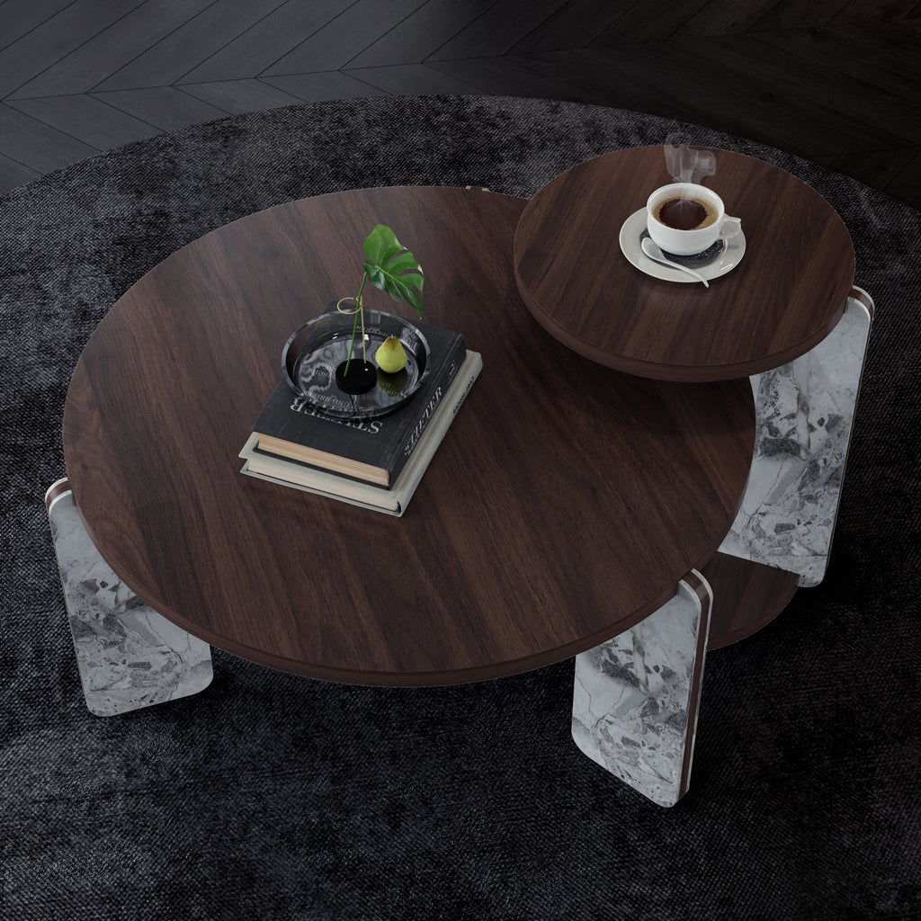 Modern Coffee Table with End Table Set