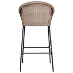 Ladd Outdoor Metal Wicker Barstool