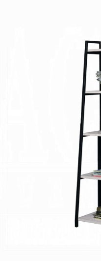 Wendral Rectangular Leaning-Ladder Bookshelf