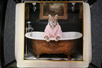 Tiger in Bathtub Wall Art Print Poster