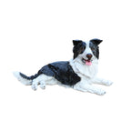 Outdoor Garden Border Collie Dog Statue