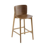 Pari Indoor Wooden Barstool