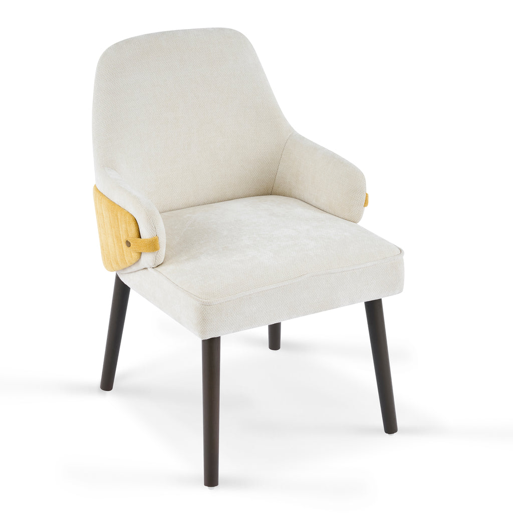 Indoor Dining Chair Set of 2