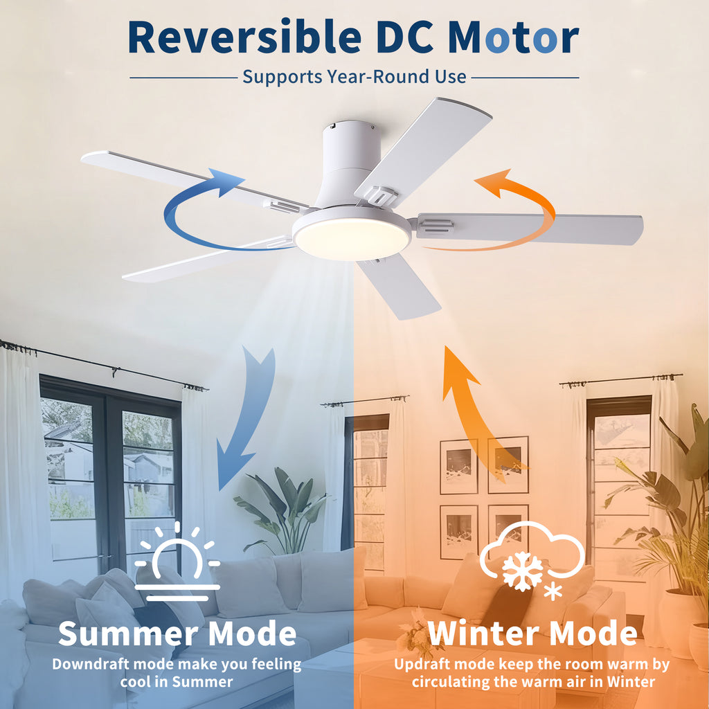 52 Inch Modern Ceiling Fan