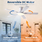 52 Inch Modern Ceiling Fan