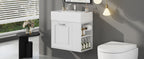 21.8 Inch Bathroom Vanity with Sink