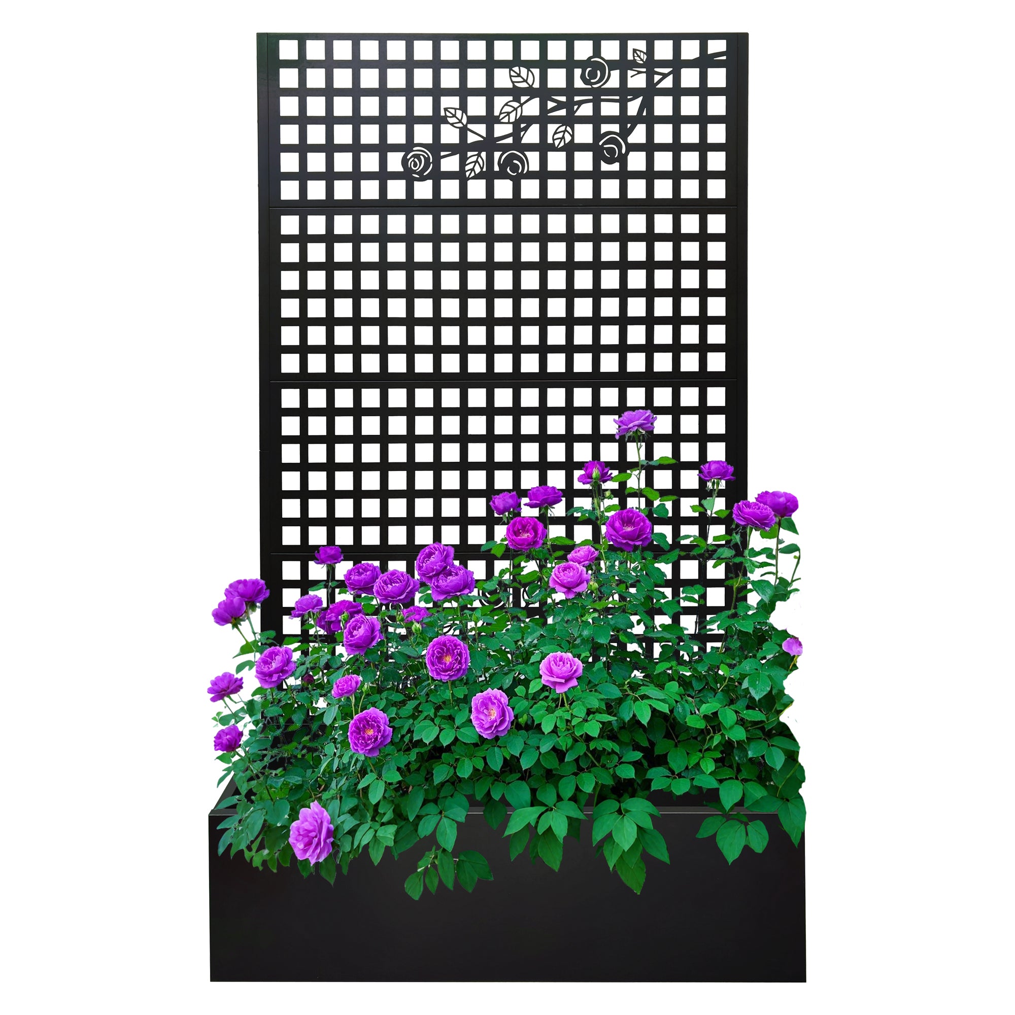Metal Planter Box with Trellis