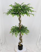 6FT Artificial Ficus Tree with Pot
