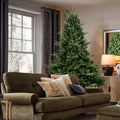T3637P339569