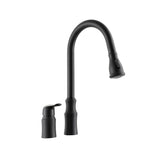 Kitchen Sink Faucet with Separate Handle, Matte