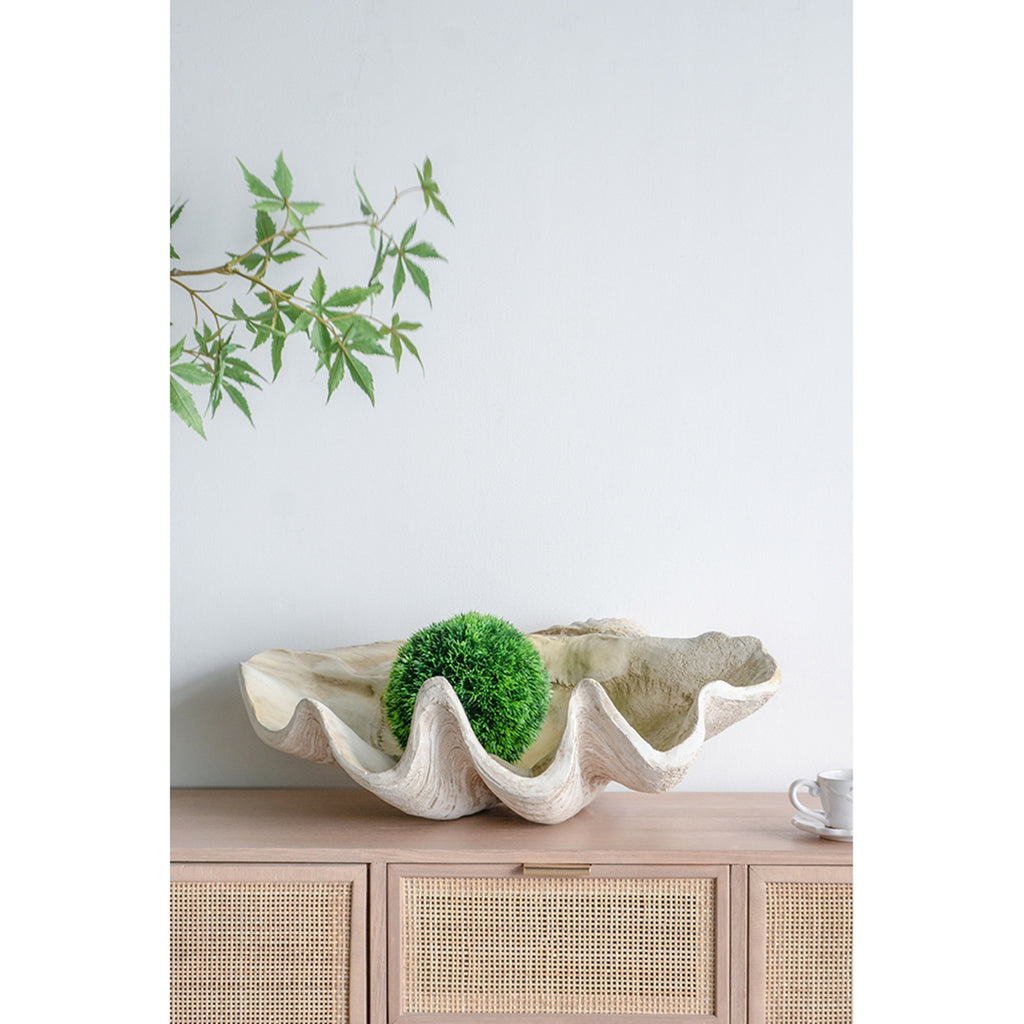 Large Clam Shell Accent