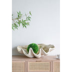Large Clam Shell Accent