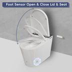 Tankless Smart Toilet With Bidet Built In