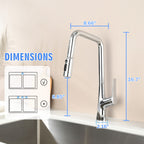 Professional Kitchen Faucet