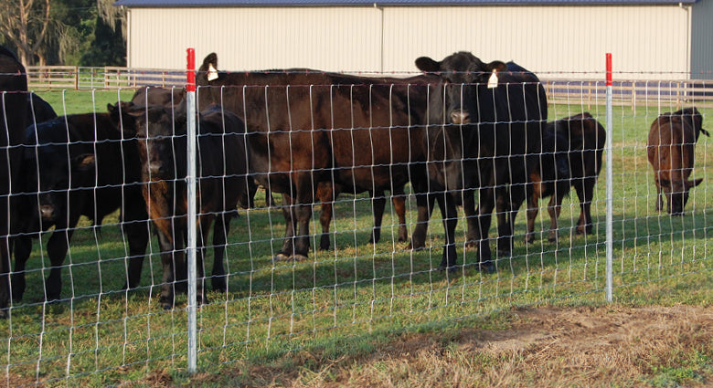 Farm Fence - 4ft x 164ft Heavy Duty Cattle Fence