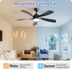 45 Inch Matte Ceiling Fan with LED Light