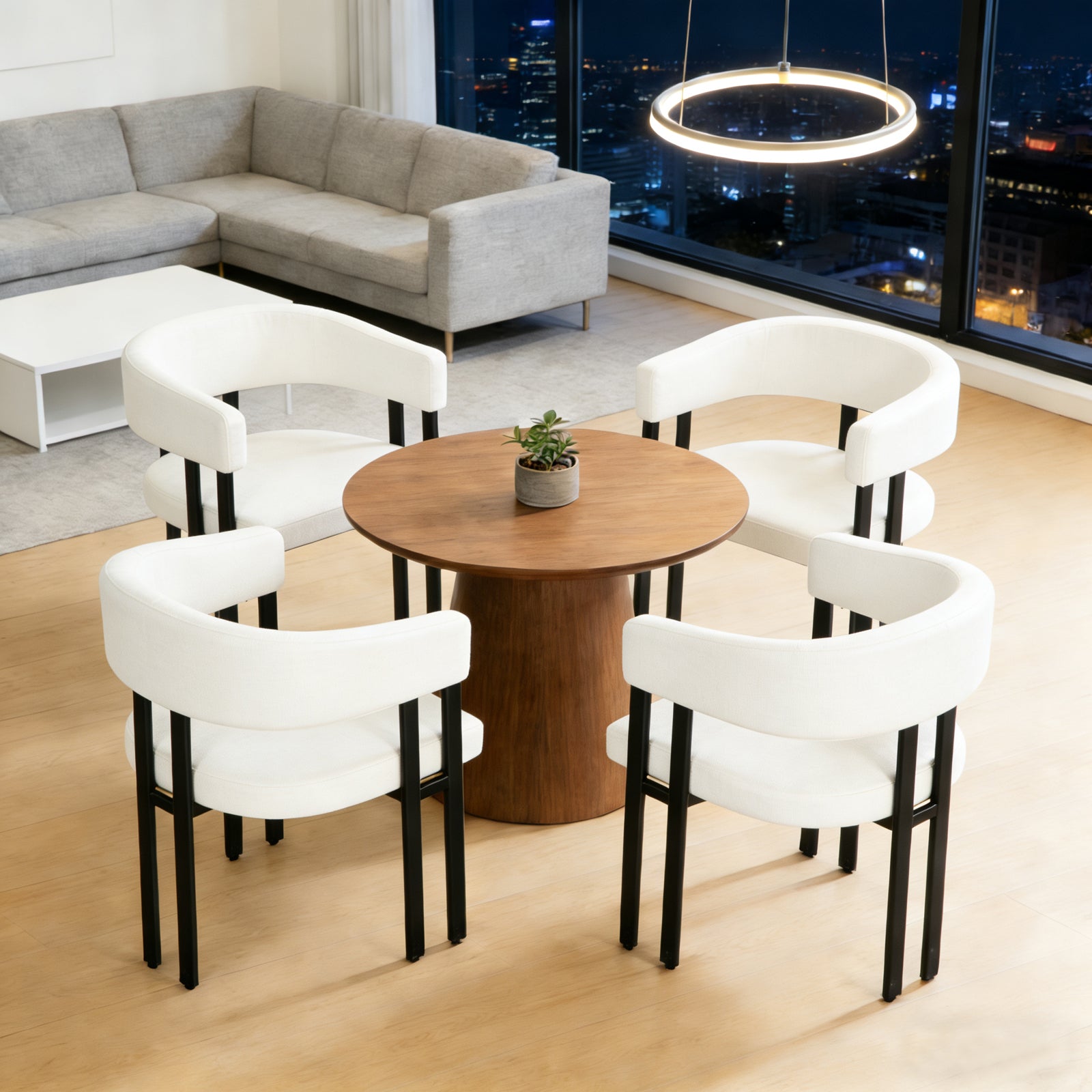 Modern Dining Chairs Set of 2