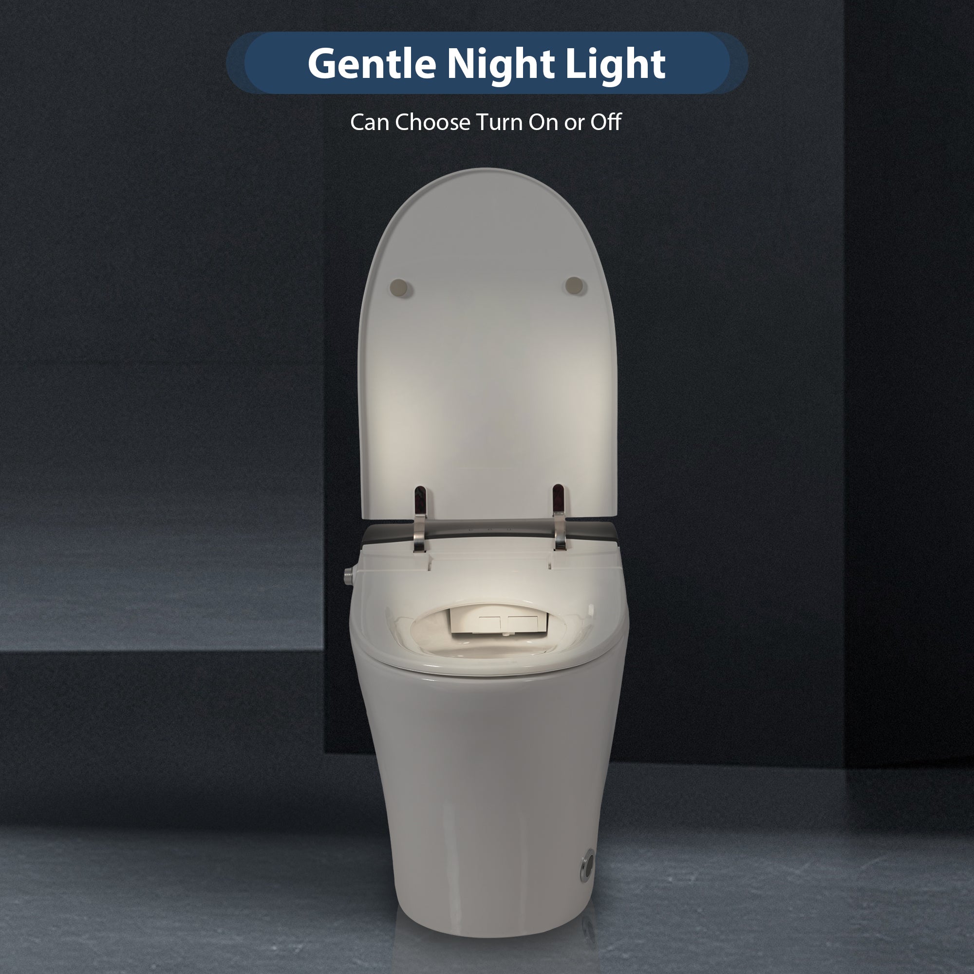 Heated Seat Smart Toilet