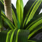 6' Artificial Dracaena Tree