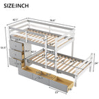 Twin Over Twin Loft Bunk Bed with Drawers and Ladder