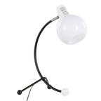 Eileen Contemporary Task Lamp