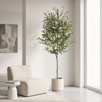 6FT Artificial Olive Tree