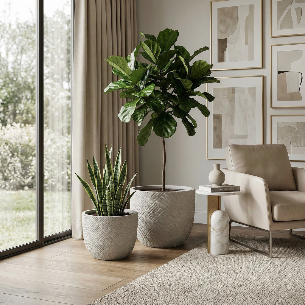 Round Concrete Planter Set of 2