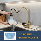 3-in-1 Kitchen Faucet with Press-Type Glass Rinser
