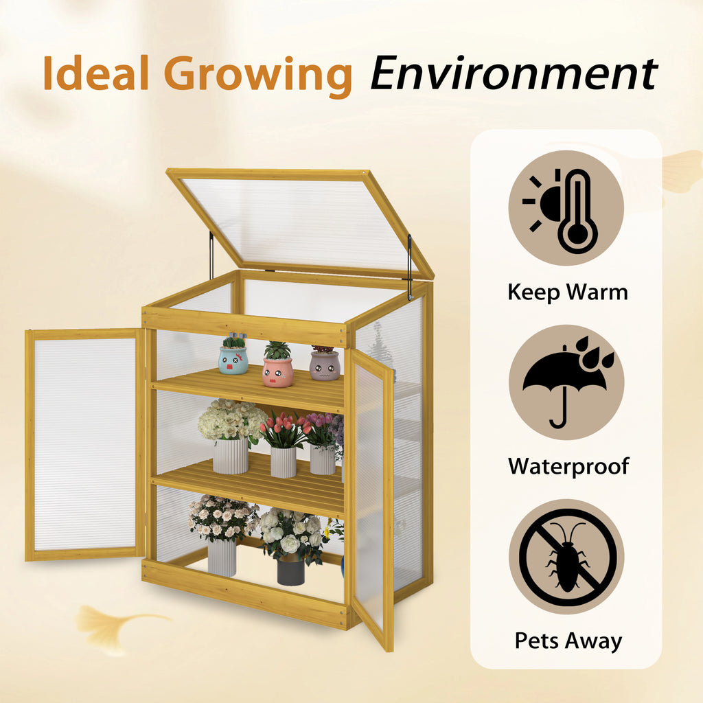 Wooden Cold Frame Greenhouse for Outdoor Gardening